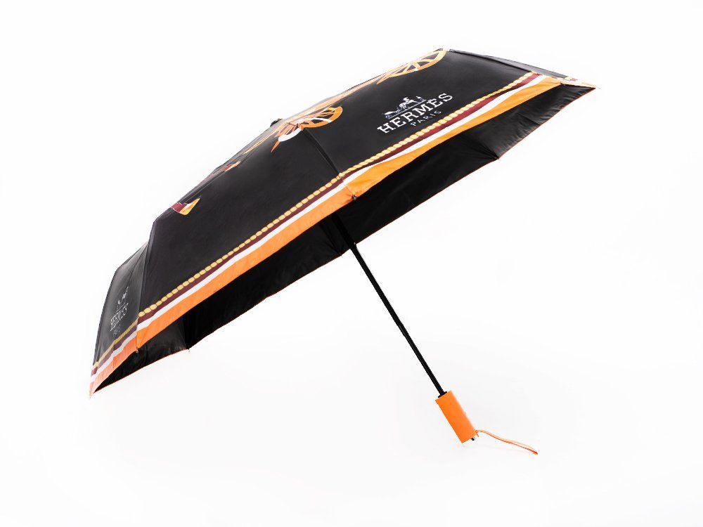 Зонт Hermes